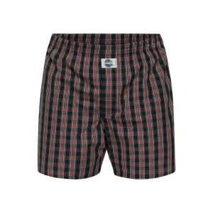 Check 100% co 192219