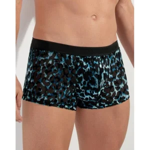 Trunk Leopard 402864