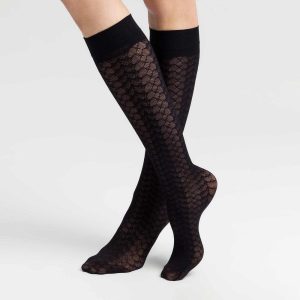 EARTHY REPTILE 120000101