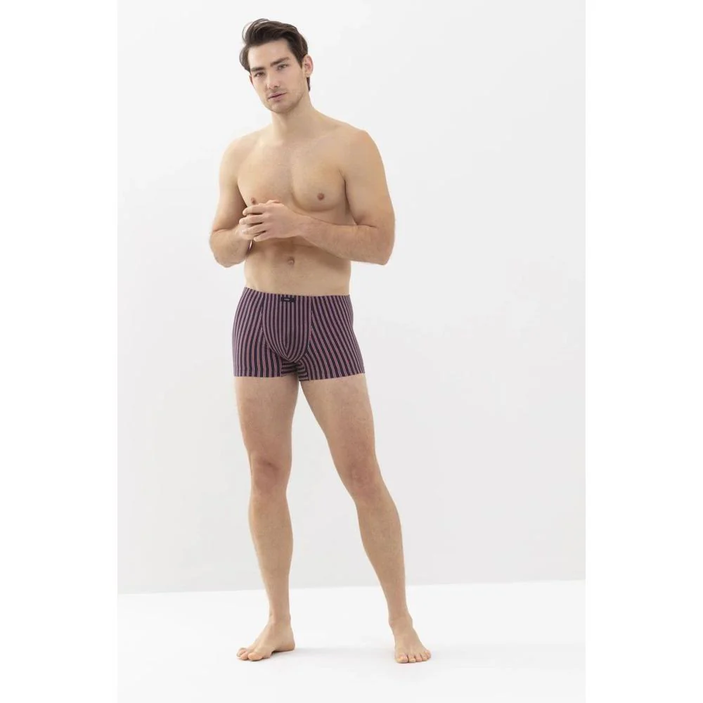 Shorty 37125 - Afbeelding 3