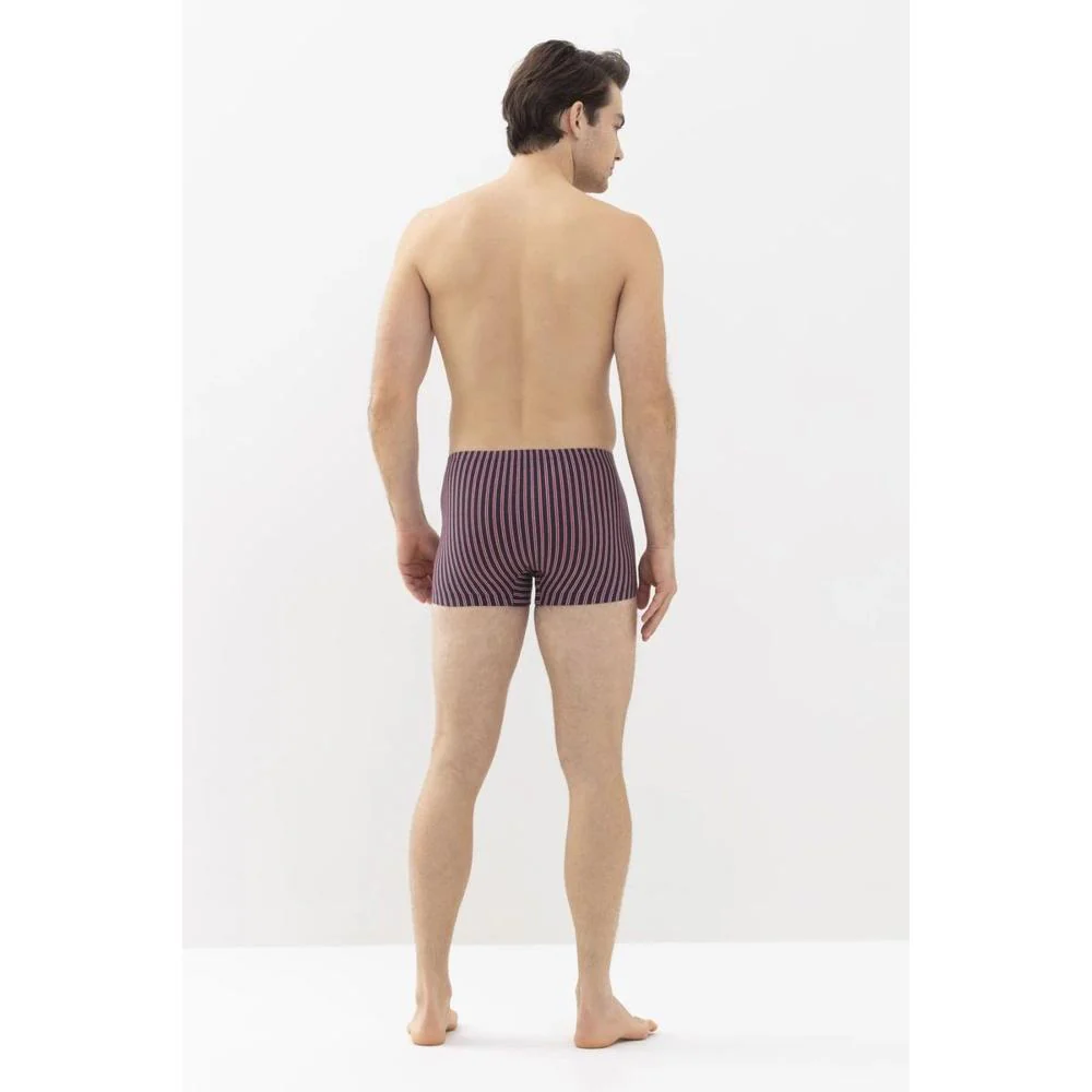 Shorty 37125 - Afbeelding 4