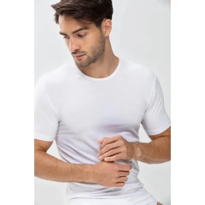 Shirt 1/2 Arm Network 34202