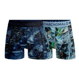 Men 2-Pack Boxer Shorts Prehistory PREHISTORY1010