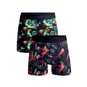Men 2-Pack Boxer Shorts Airelements 2P AIRELEMENTS1010